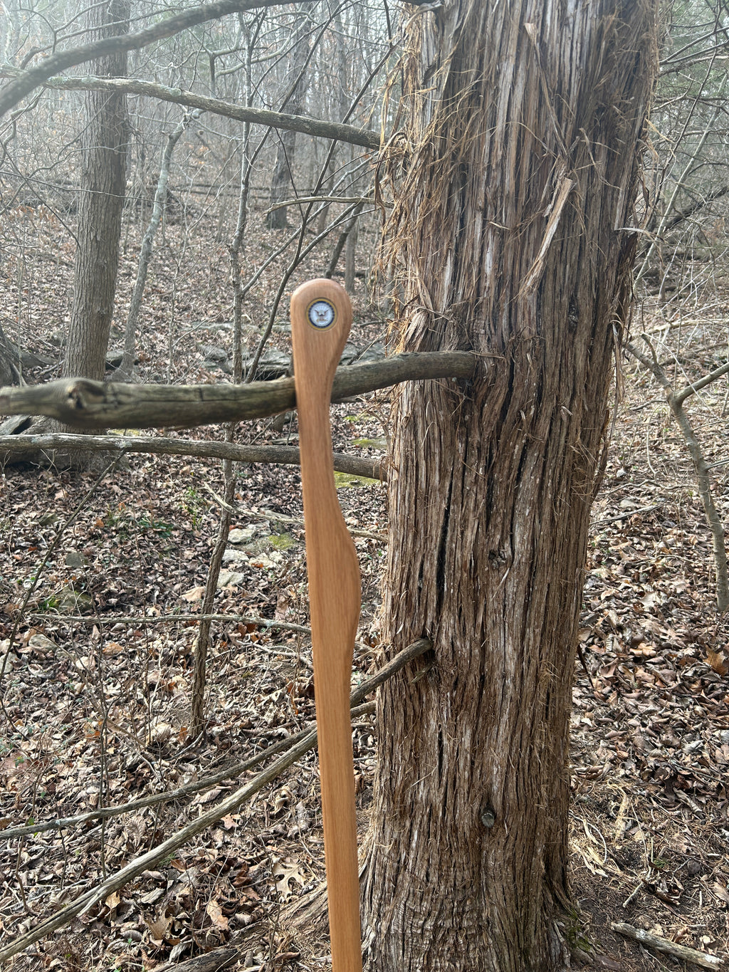 Walking Stick, Red Oak, Mountain Handle (Large Top and Grip), With Magnet for Medallions and Rubber Foot (Cut to Length)