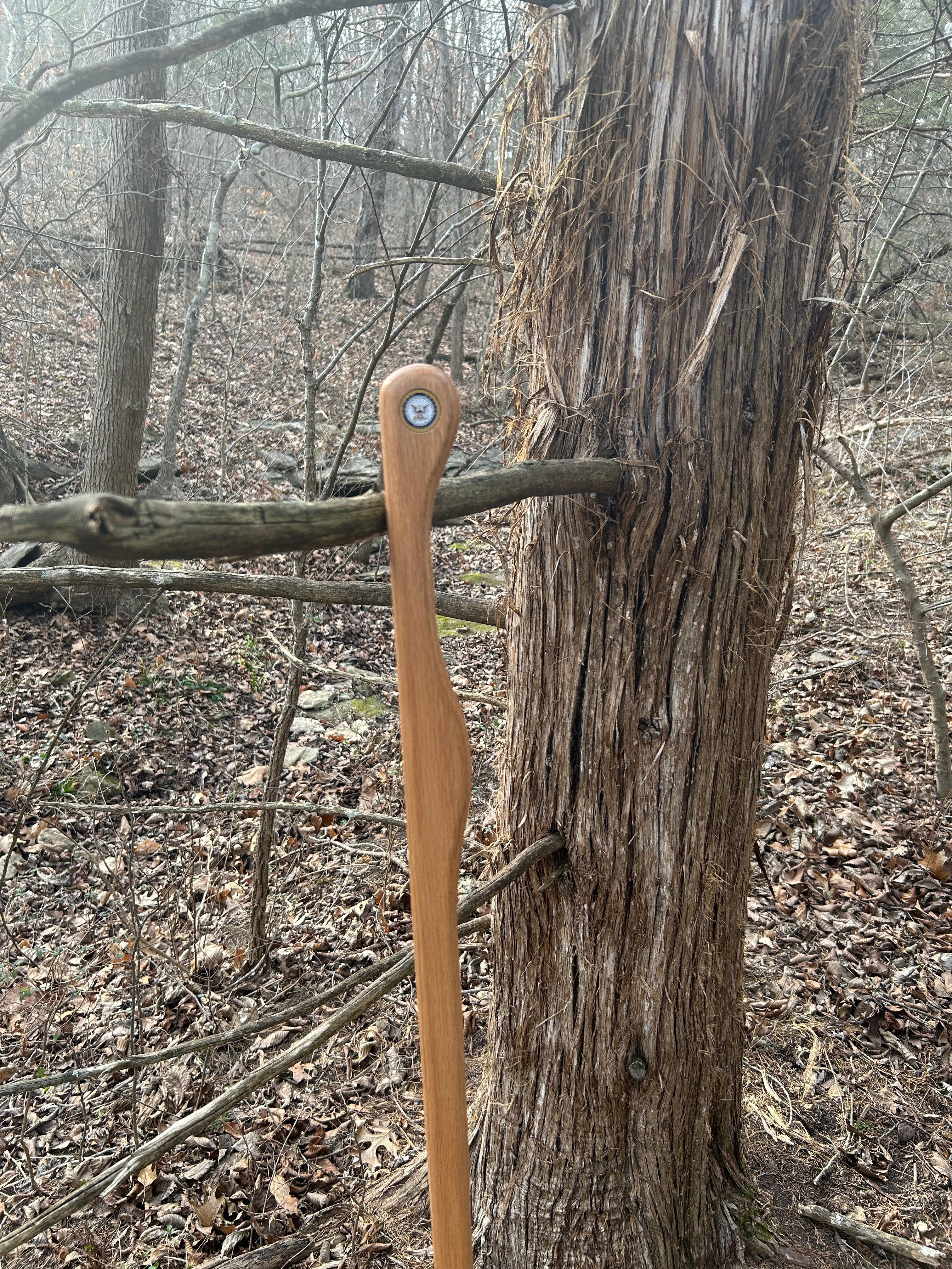 Walking Stick, Red Oak, Mountain Handle (Large Top and Grip), With Magnet for Medallions and Rubber Foot (Cut to Length)