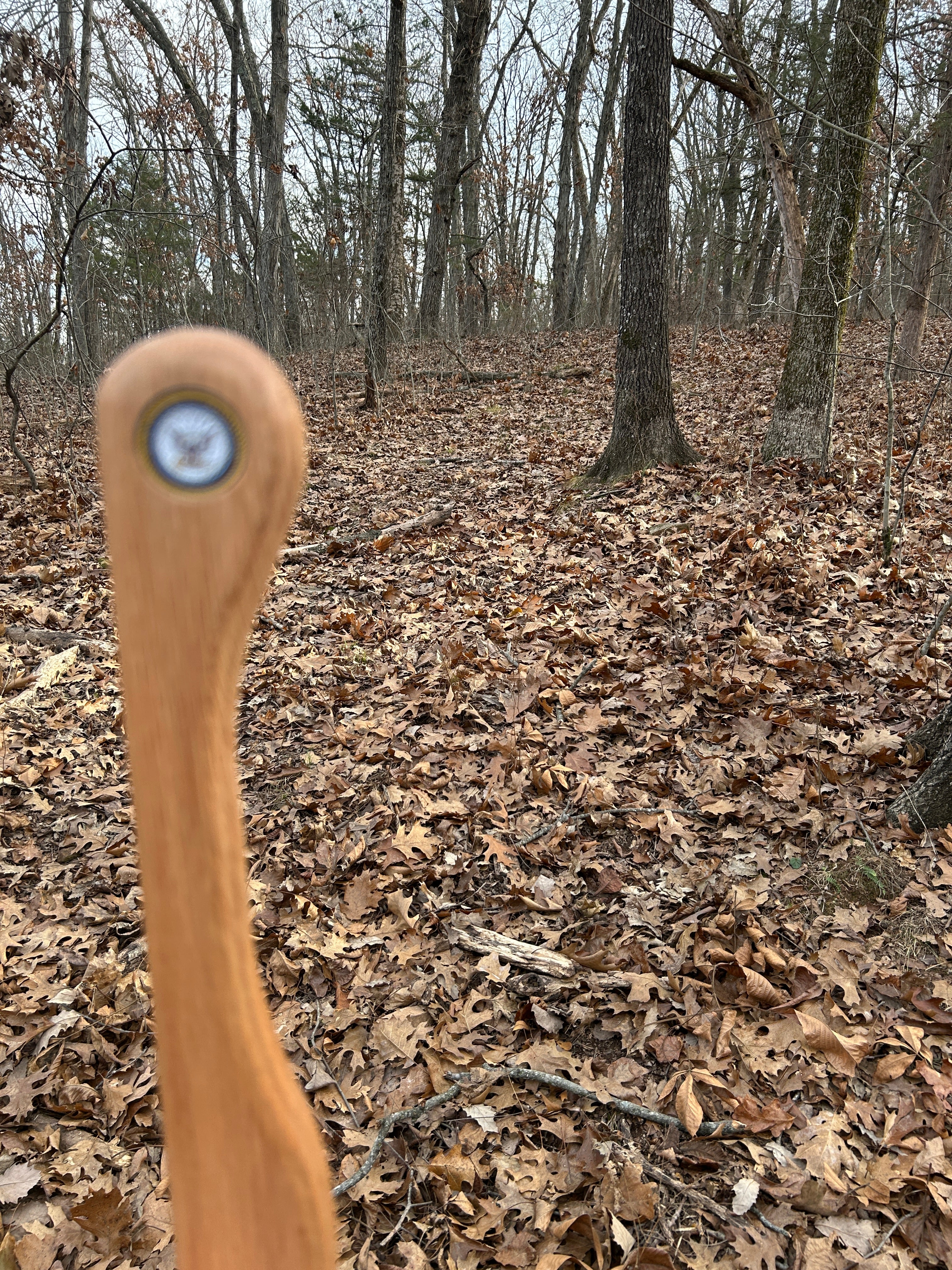 Walking Stick, Red Oak, Mountain Handle (Large Top and Grip), With Magnet for Medallions and Rubber Foot (Cut to Length)